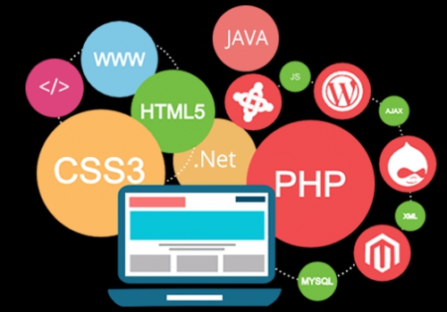Website Design